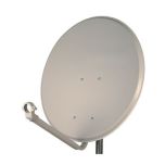 60cm Daxis dish